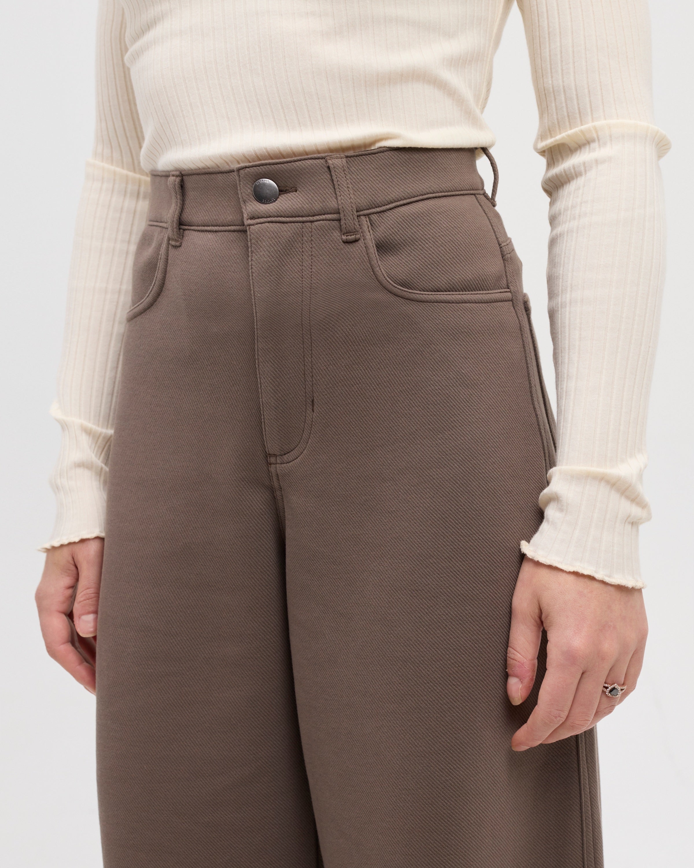 TENTREE FLINT PANT